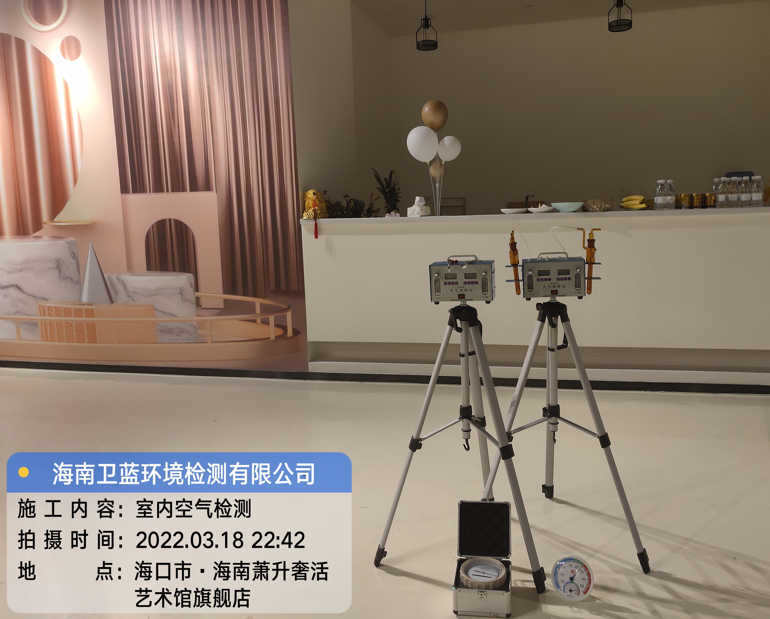 海南CMA甲醛檢測(cè)-?？谑惺捝莼钏囆g(shù)館甲醛檢測(cè)